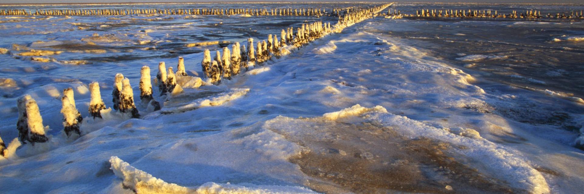 Icy tidal flats - banner image