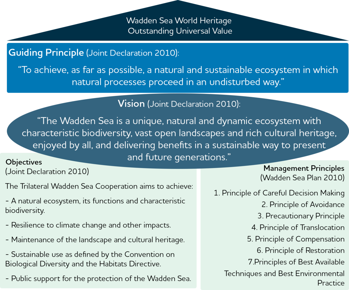 TWSC vision diagram