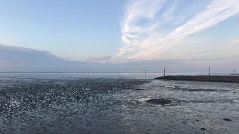 Wadden Sea scenery image